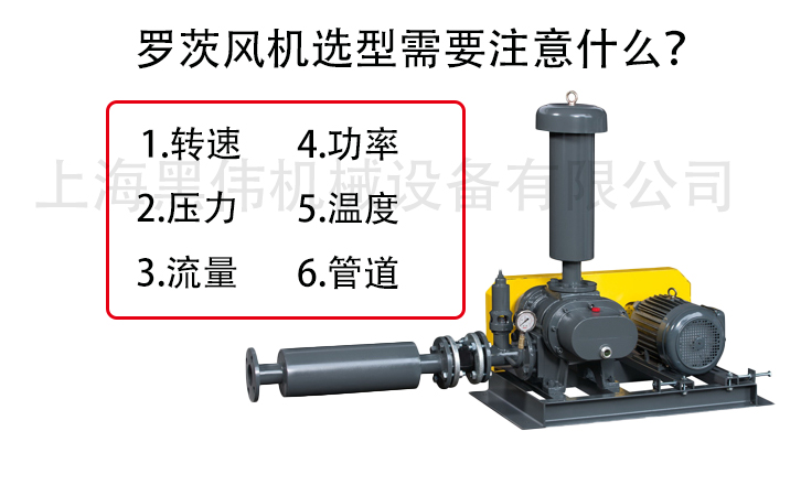 罗茨樱桃视频APP官网选型注意参数